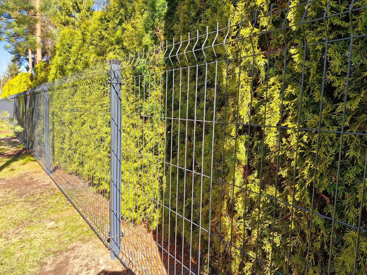 Anthracite 3D panel fence by a hedge
